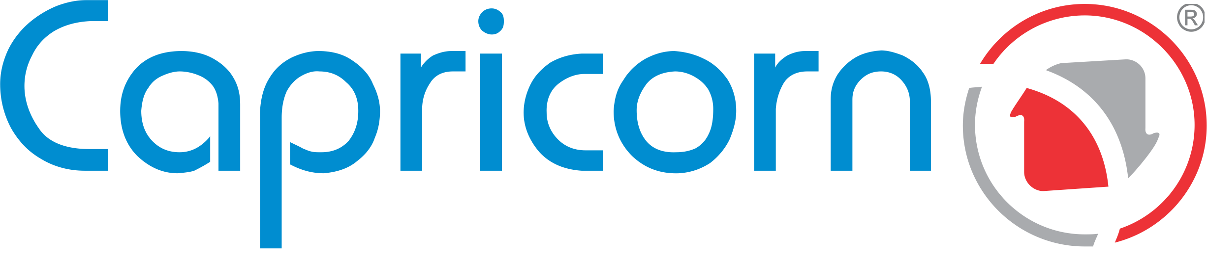 CAPRICORN IDENTITY SERVICES PVT. LTD